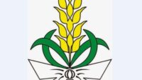Logo Nasyiatul Aisyiyah Logo Nasyiatul Aisyiyah