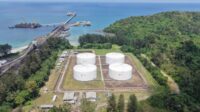 Pengembangan Biodiesel
